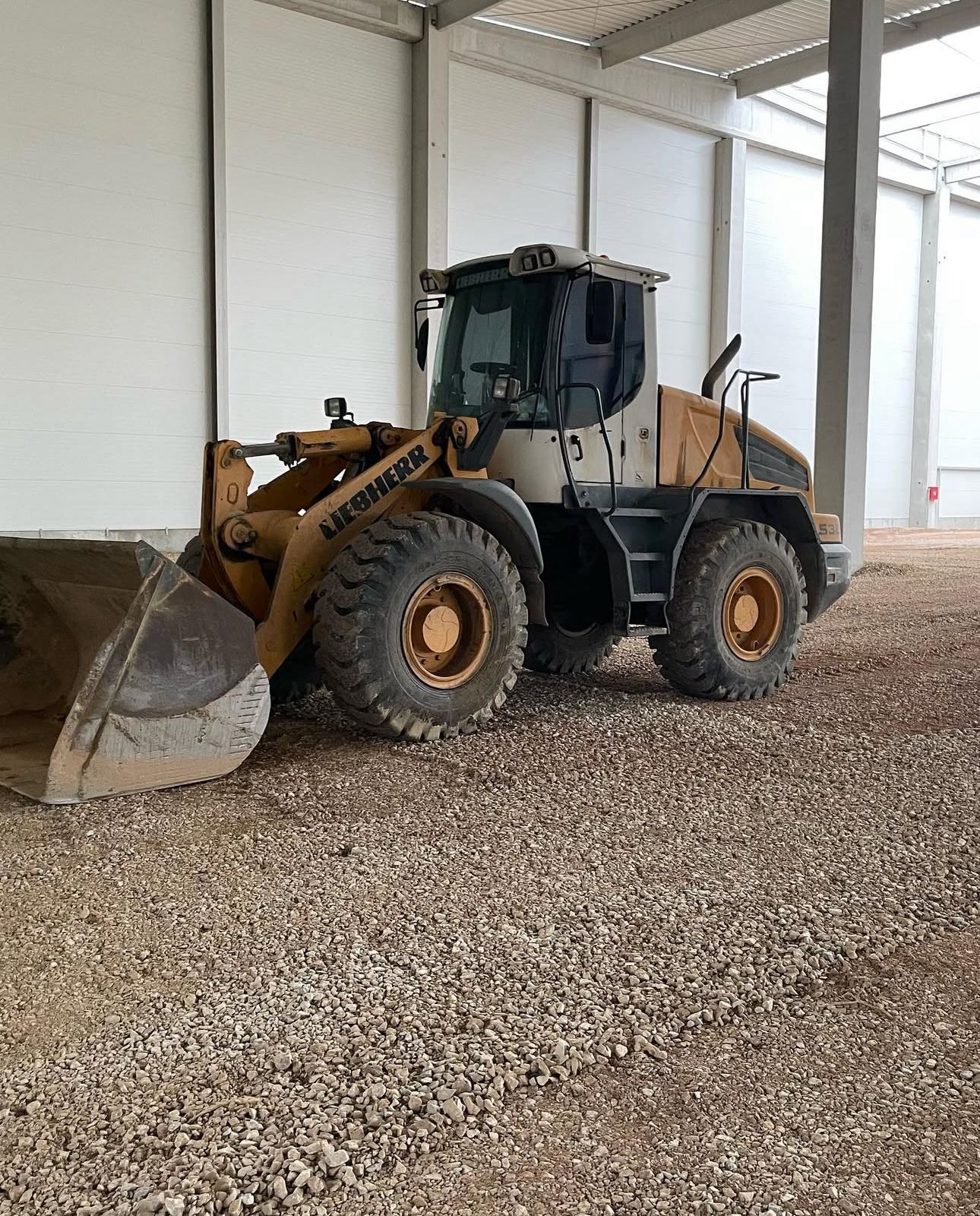 WhatsApp Image 2025-09-11 at 07.54.52_04fbf0c8.jpg