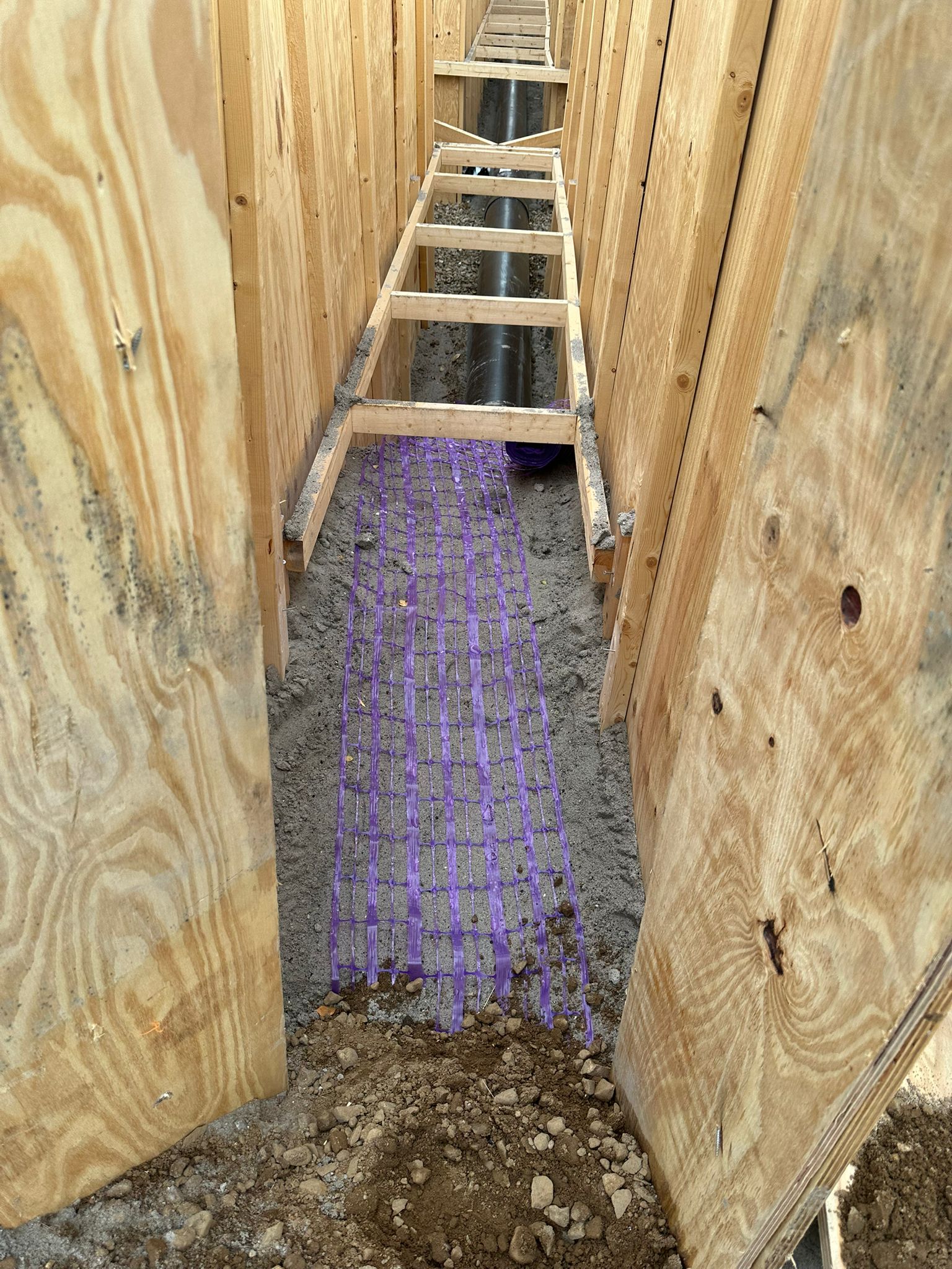 WhatsApp Image 2025-09-11 at 07.55.36_de8f3277.jpg