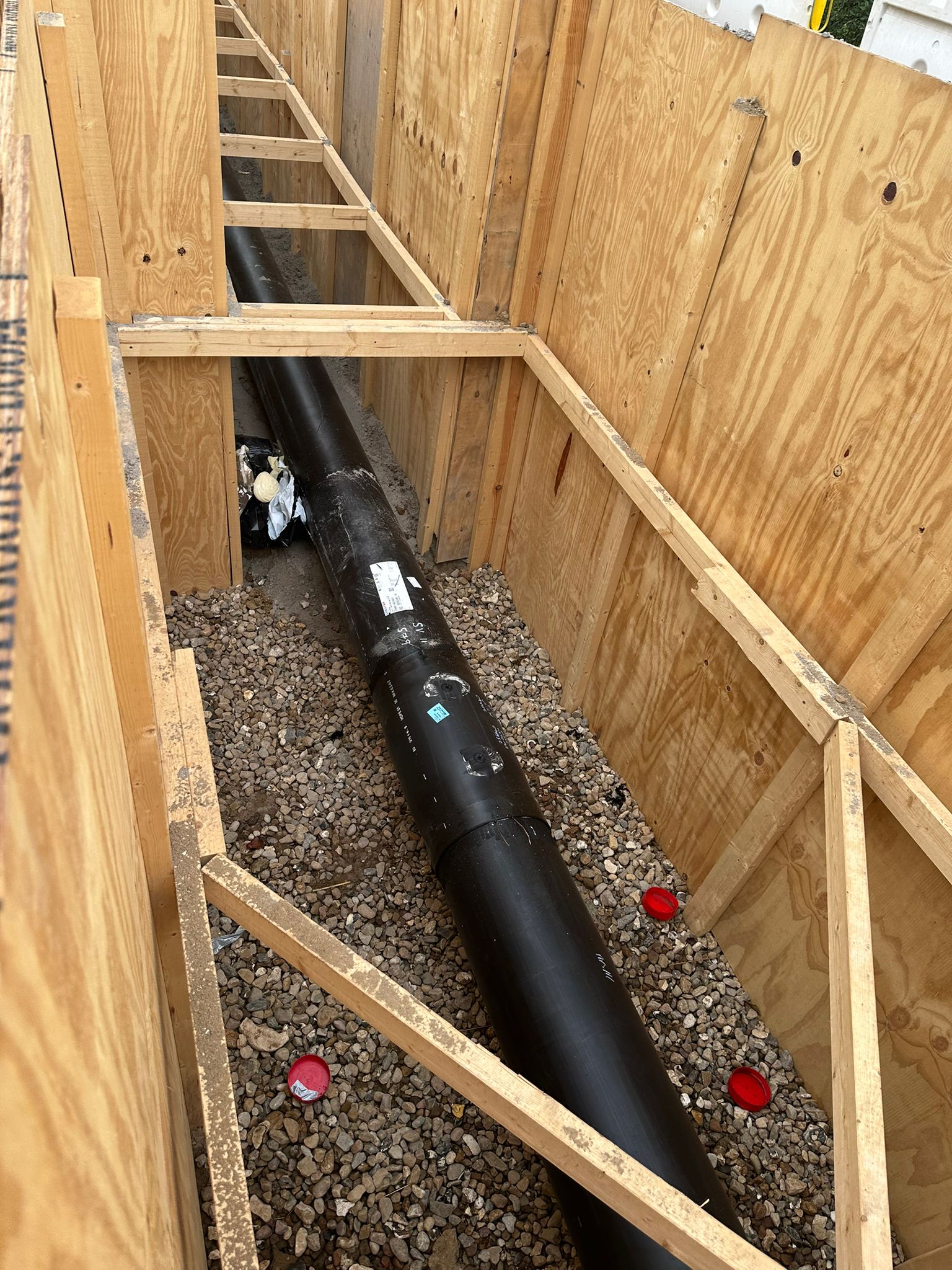 WhatsApp Image 2025-09-11 at 07.55.36_f85fffeb.jpg